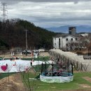 camp 80 이미지