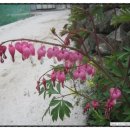 용기네 농장 이미지