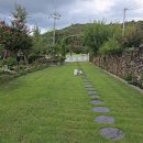 석란정펜션 이미지