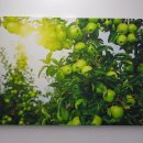 강북OA센타 이미지