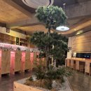 선유혼합음료 이미지