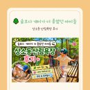 (주)바른나무파트너스 | 🌳 숲보다 개미가 더 좋았던 아이들😂 상소동 산림욕장 후기