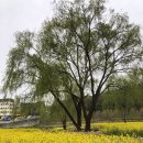 대한불교천태종대성사동해유치원 이미지