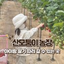산모퉁이농원