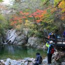 스테이 732 이미지