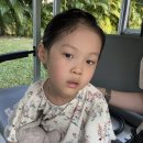 [꿀벌일기] 인생 1454일차 : 인생 첫 초음파를 베트남에서! 글로벌 개진상 인증한 우당탕탕 푸꾸옥 4일차✈️