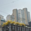 올웨이즈얼음과자 | 2026년 3월 월간기록 (하)