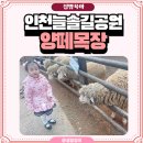 늘솔길숲이야기 화장실 | 강원도 대신 인천으로 떠나요 늘솔길공원 양떼목장 아이와 나들이 주차꿀팁까지