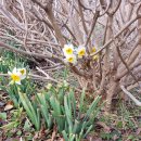 안덕면사무소 앞 이미지