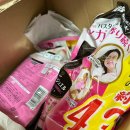 용당세관 | 일본 배송대행 재팬타임몰 후기_해상운송
