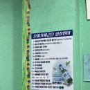 부산여행기 #2 분기마다 한 번씩 가는 부산 현지인도 모르는 외지인 개맛집 &lt;태평양 횟집&gt;