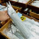 제주은갈치 이미지