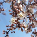 남구실버작은도서관 이미지