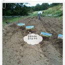 준영이네농장 이미지