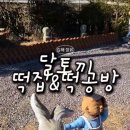 달토끼 떡공방 이미지
