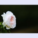 곡성-089 티스토리