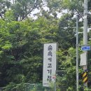 숲속에고기집 | 고양 덕양구 애견동반 고기집 <숲속에 고기집> 내돈내산 후기 애견동반 가능한 맛집