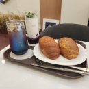 안양호계동카페 디저트 소금빵 맛집 필소굿