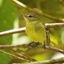 명지오션시티 서편 이미지