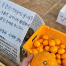 안덕천 이미지