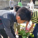 사계초등학교 이미지