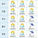 다음주 월~토 지역별 주간날씨.jpg 이미지