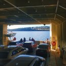 브루니컴퍼니 | 호주 태즈매니아 브루니 아일랜드 당일 투어 내돈내산 후기