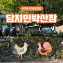 전남 구례 지리산 가볼만한곳 닭구이 맛집 당치민박산장