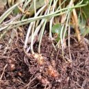 종지농장 이미지