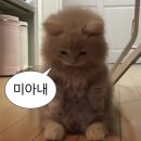 더캡슐 명동 이미지