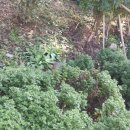 풍년산장 이미지