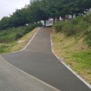 덕일성유치원 이미지