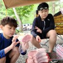 감악산 캠핑숲 이미지