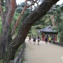 덕동달구지펜션 이미지