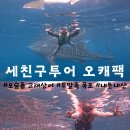세부 남부 투어 세친구투어 오캐팩 오슬롭 고래상어 투말록 폭포 내돈내산 후기
