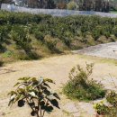 정우농장2 이미지