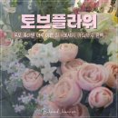 목포 꽃집 ㅣ 토브플라워 추천해요 : ) 이쁜 꽃 많고 센스 만점 사장님