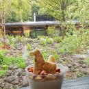 설록차전시관 이미지