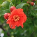 도촌농장 이미지