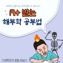 동신대학교 중앙도서관 뒤 이미지
