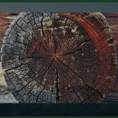 호미곶관광단지 이미지