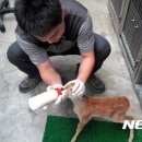 울산광역시 야생동물구조센터 이미지