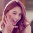 염색사랑미