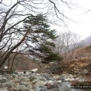 소담재 - 밀양시 시전중앙2길 45 | 소담재