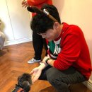 박형우동물병원 | 강아지 슬개골 과잉진료 없이 진단 받는법