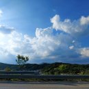 춘천조양초등학교 이미지