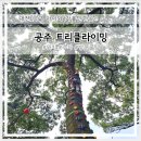 공주산림휴양마을 | 대전근교가볼만한곳 공주 산림휴양마을 트리클라이밍