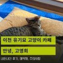안녕, 고영희 네이버블로그