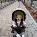 샤인 | 내돈내산 에이블코지샤인 솔직후기