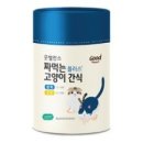 양이양이 이미지